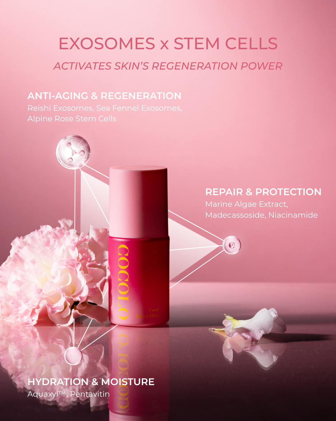 COCOLO Excell Secret Elixir