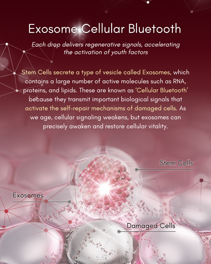COCOLO Excell Secret Elixir