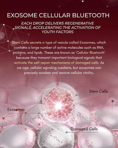 COCOLO Excell Secret Elixir